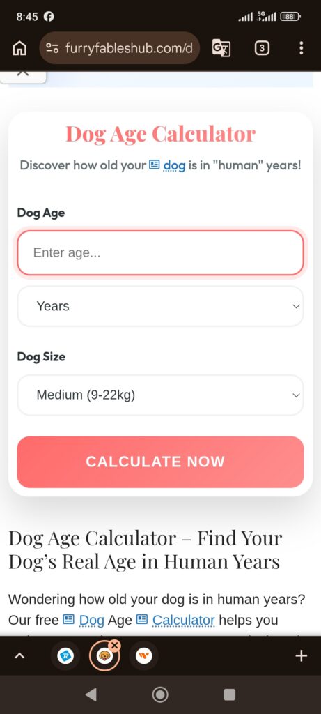 Plugin Dog Age Calculator